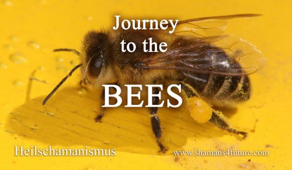 Vorschau Tiere aus schamanischer Sicht: Journey to the Bees (Eine Reise zu den Bienenvölkern)