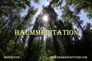 Vorschau: Meditationen Baummeditation