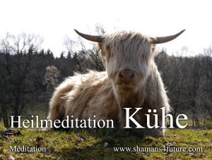 Vorschau Video: Meditationen: Kühe