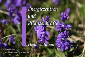 Vorschau: Meditationen: Energiezentren und Pflanzenkräfte