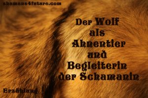 Vorschau: schamanische Broschüren: Der Wolf als Ahnentier